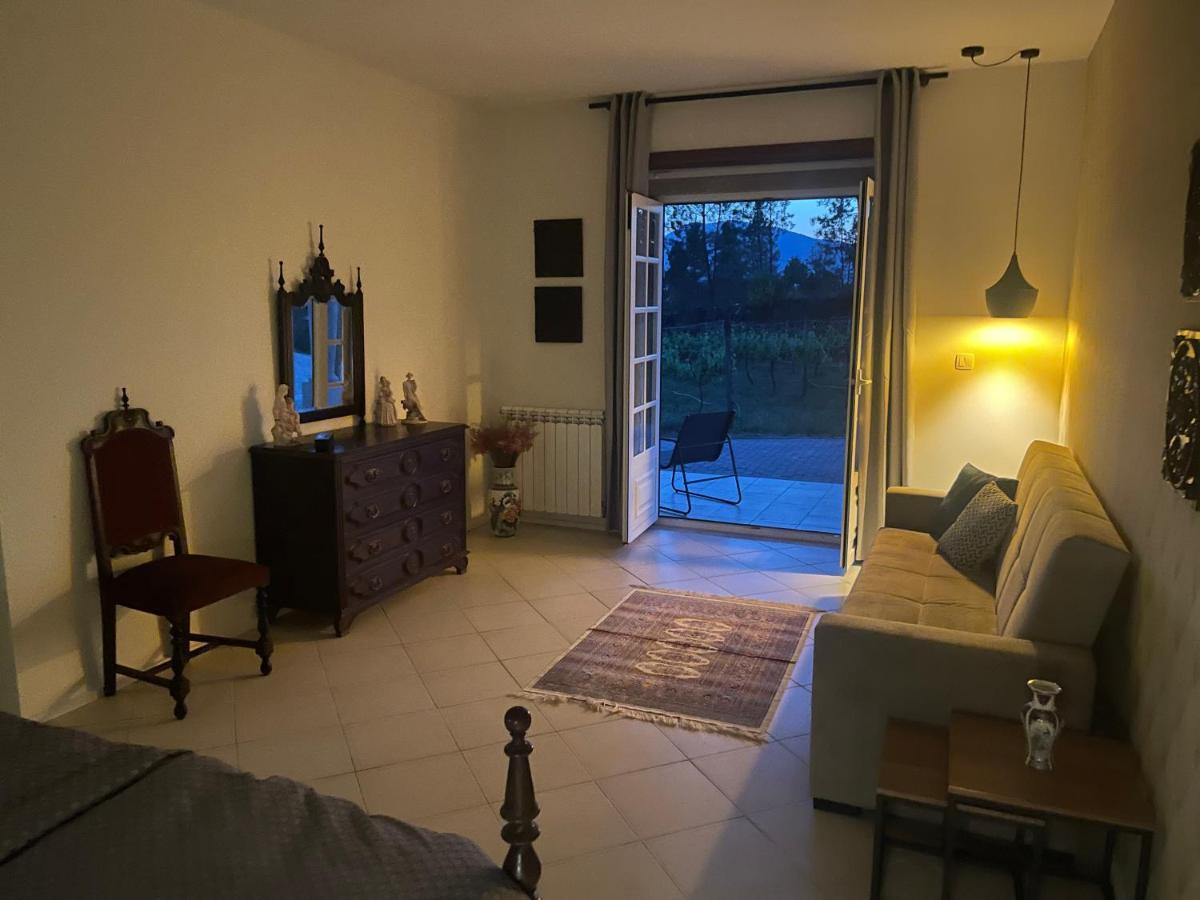 Quinta Da Paixao - Bed & Breakfast Pedraca Buitenkant foto