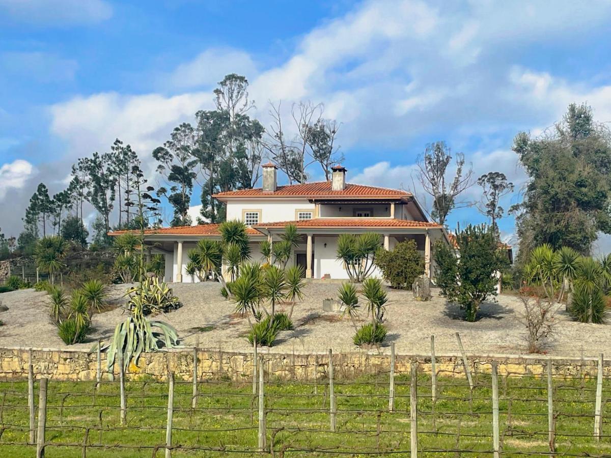 Quinta Da Paixao - Bed & Breakfast Pedraca Buitenkant foto